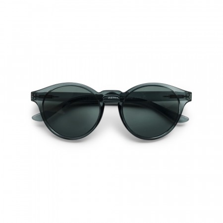 HAVE A LOOK Solbriller Casual smoke